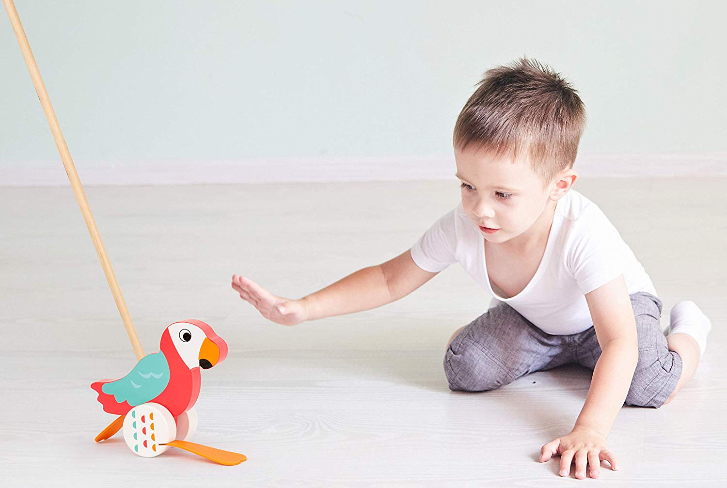 small foot 10475 pushing animal parrot "Lori" made of wood, waddles along on every outing, Multicolor - Image 3