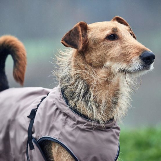 HUNTER Uppsala Dog Coat, 70 cm, Taupe - Image 3
