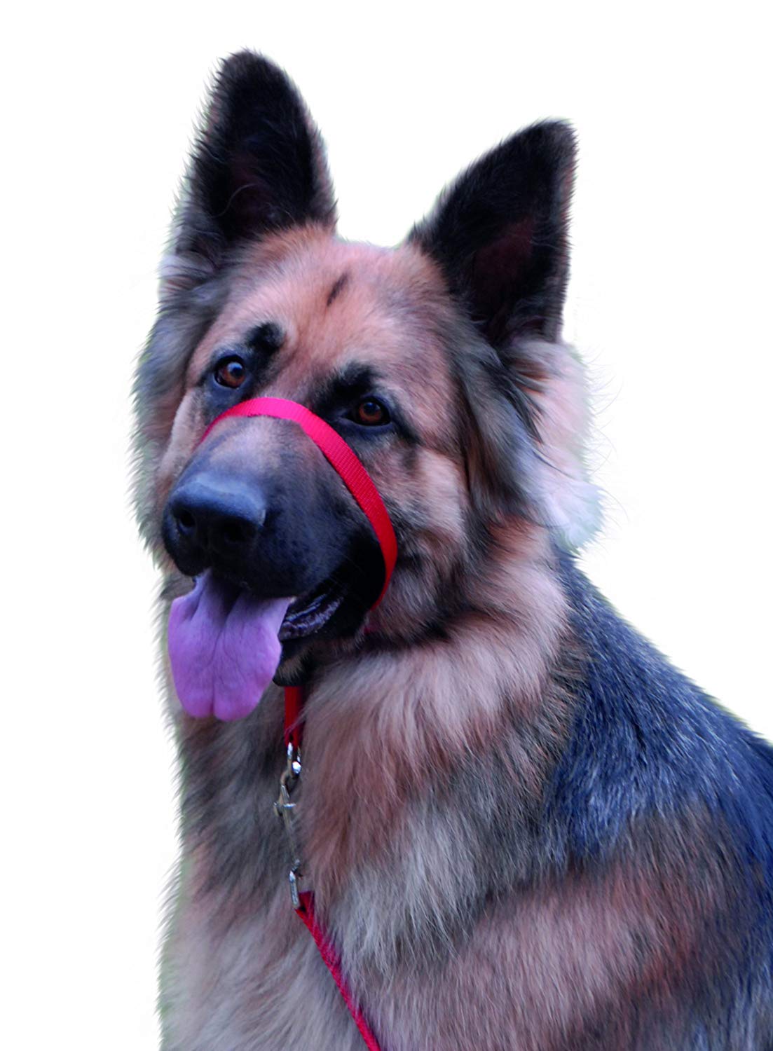 Beaphar, Gentle Leader Head Collar for Large Dogs, Training Aid, Stops Pulling On The Lead, Immediate Effect - Image 2