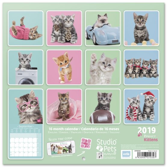 Grupo Erik editores Studio Pets Calendar with Cats Design, 30 x 30 cm