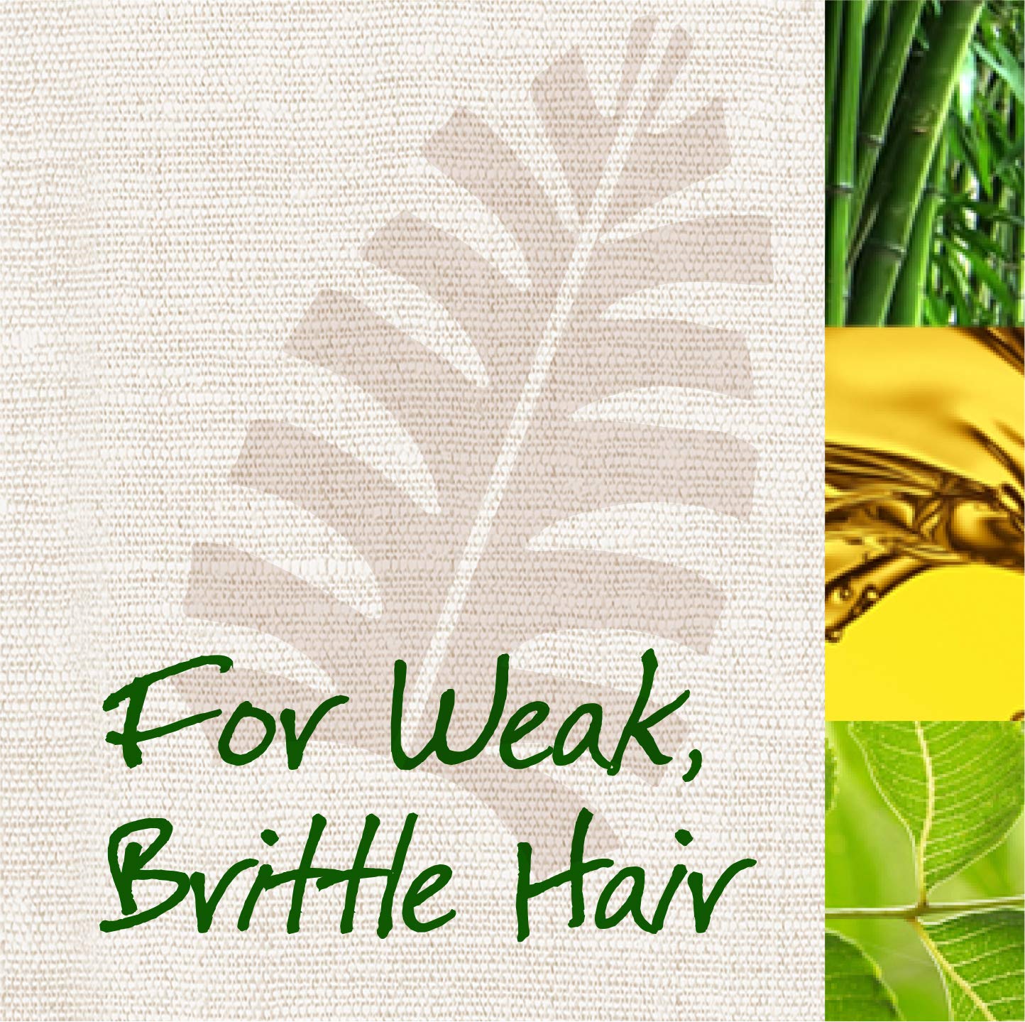 Maui Moisture Volume Boost + Bamboo Fibers & Aloe Vera Shampoo, with Castor & Neem Oils - Image 4