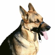 Croci Training Nylon Muzzle, Size 5