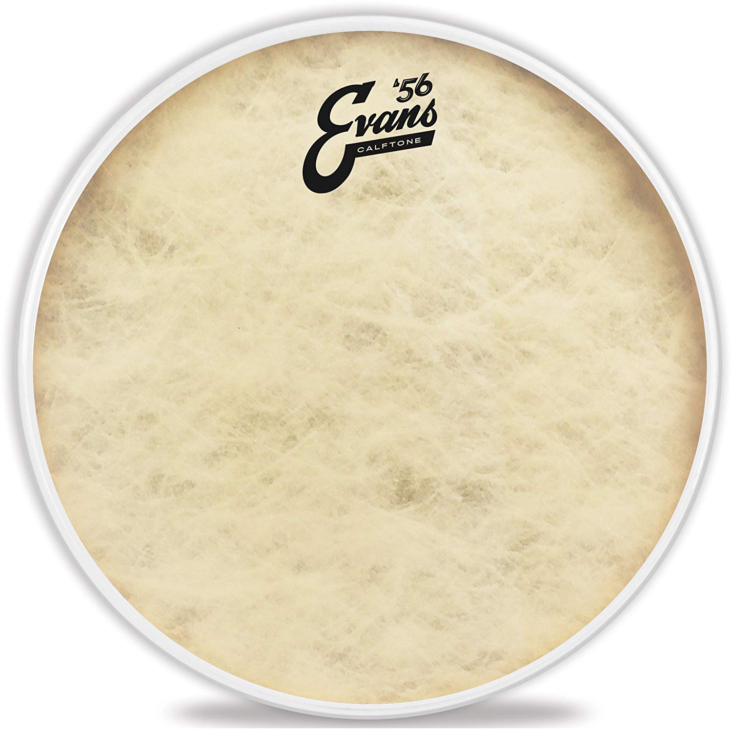Evans Drum Heads - Calftone Tom Drumhead, 12 Inch, 12" - Image 2