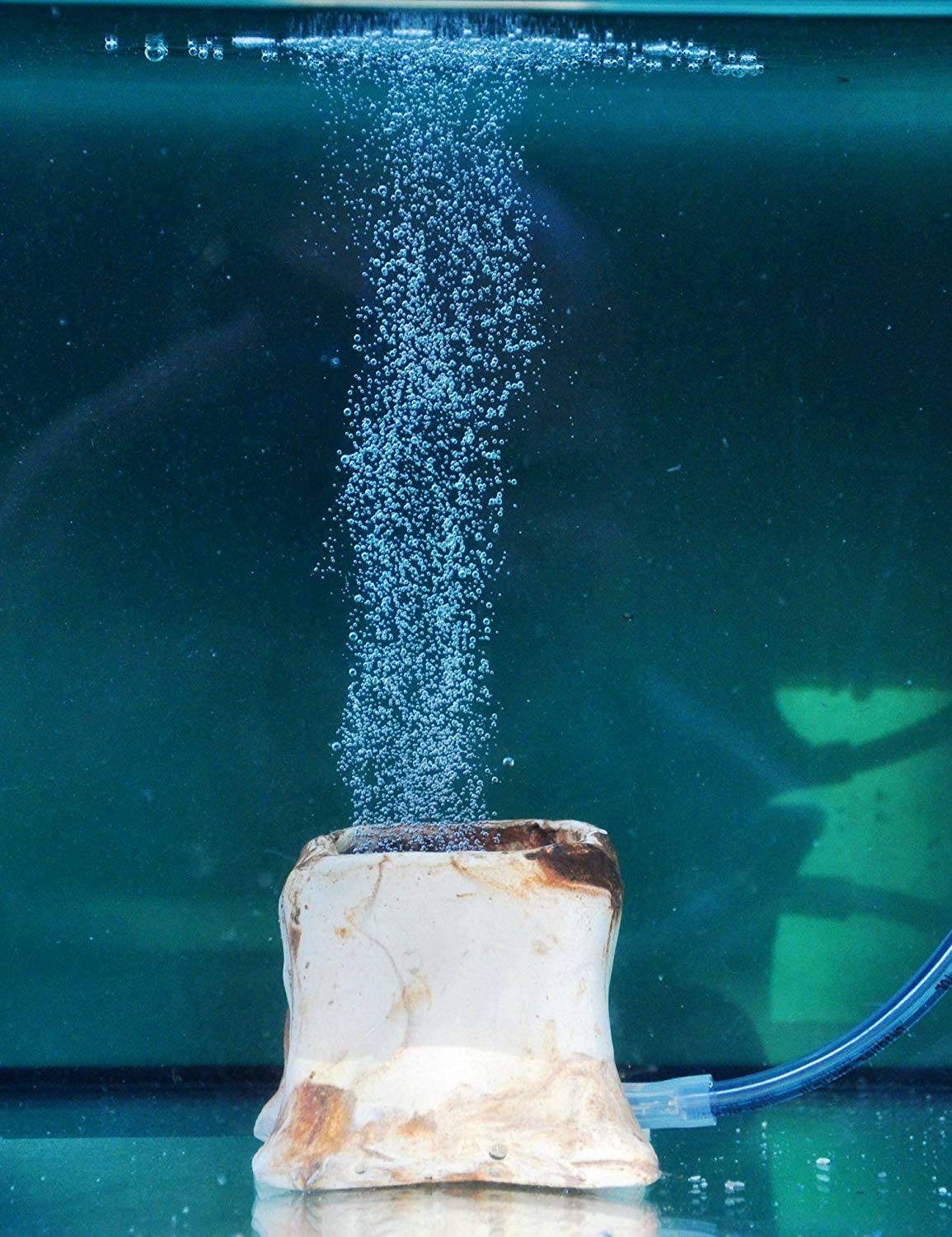 Aquanox Dark Hand made Carbon-Air Nano Diffuser for Air and CO2 – BigaMart