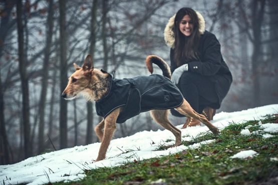 HUNTER Uppsala Softshell Dog Coat, 50 cm, Black - Image 3