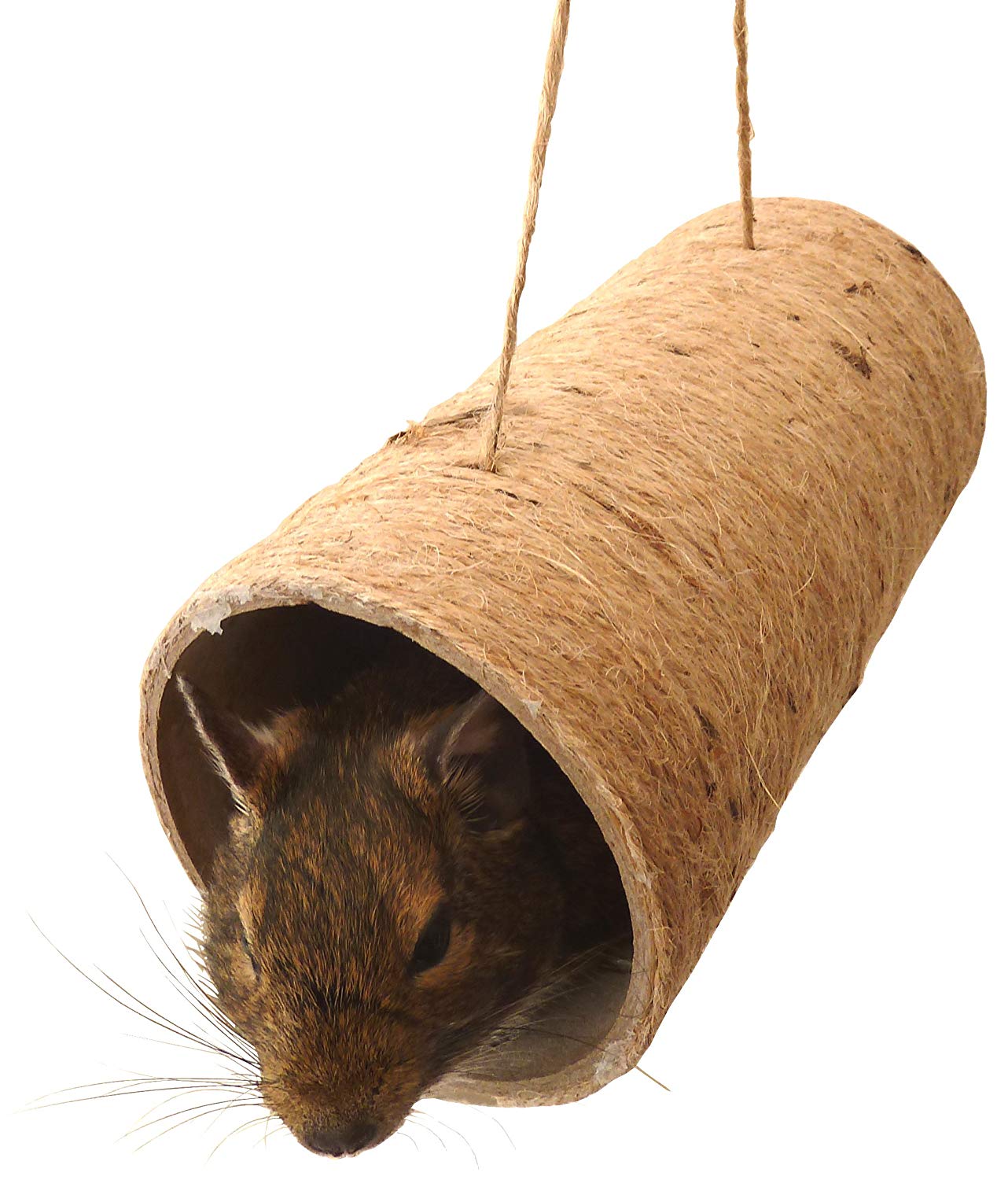Totally Degu Ultimate Chewchewbs 2 Pack for Degus Hamsters, Gerbils, Mice and Rats - Pet Activity Structure