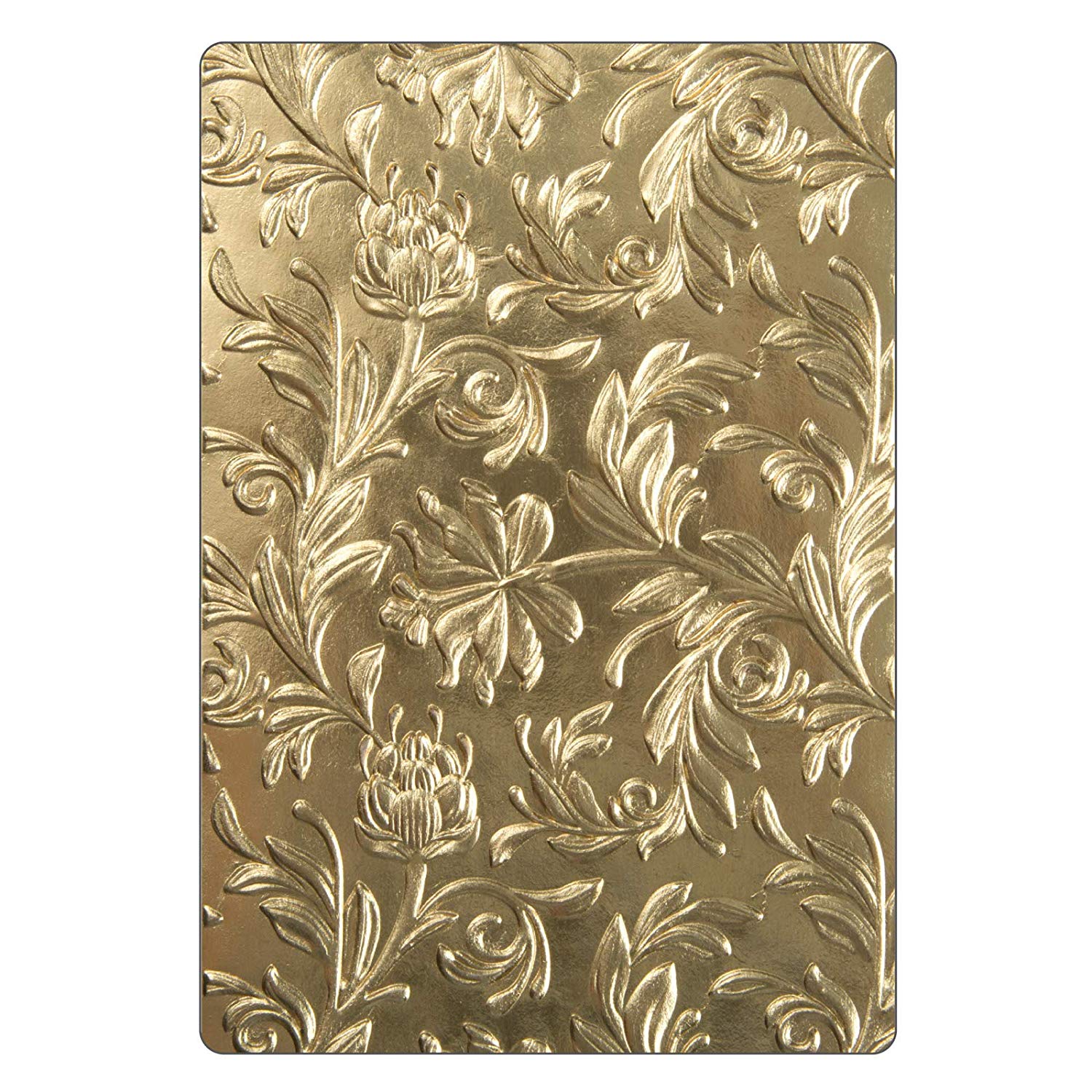 Sizzix 662716 3-D Texture Fades Embossing Folder Botanical - Multi-Colour, One Size, A2 (420 x 594 mm or 16.5 x 23.4 inches)