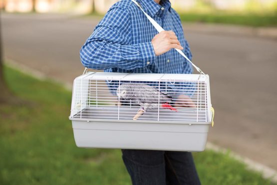 PREVUE PET PRODUCTS Universal Pet Carrier, Gray - Image 3
