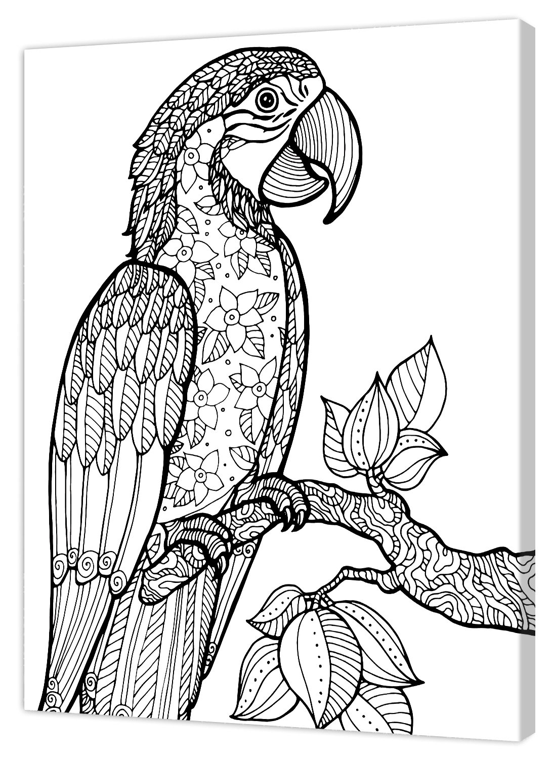 Pintcolor 7805.0 Frame with Printed Canvas Colouring, Fir Wood, white/black, 40 x 50 x 3.5 cm, White / Black
