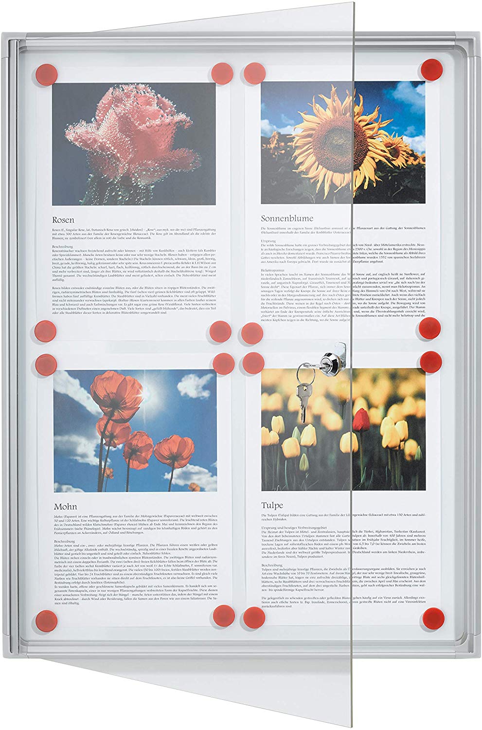 Franken FSA1 Flat Display 1 x ISO A4, Aluminium Frame 4X A4 White