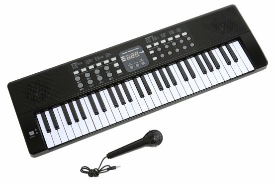 Axman LP5450 Keyboard incl. microphone and power supply connection