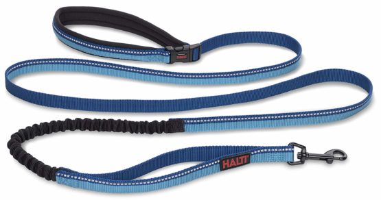 Halti All-In-One Lead (6' 6"), Large, Blue