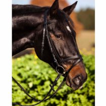 KERBL Standard bridle
