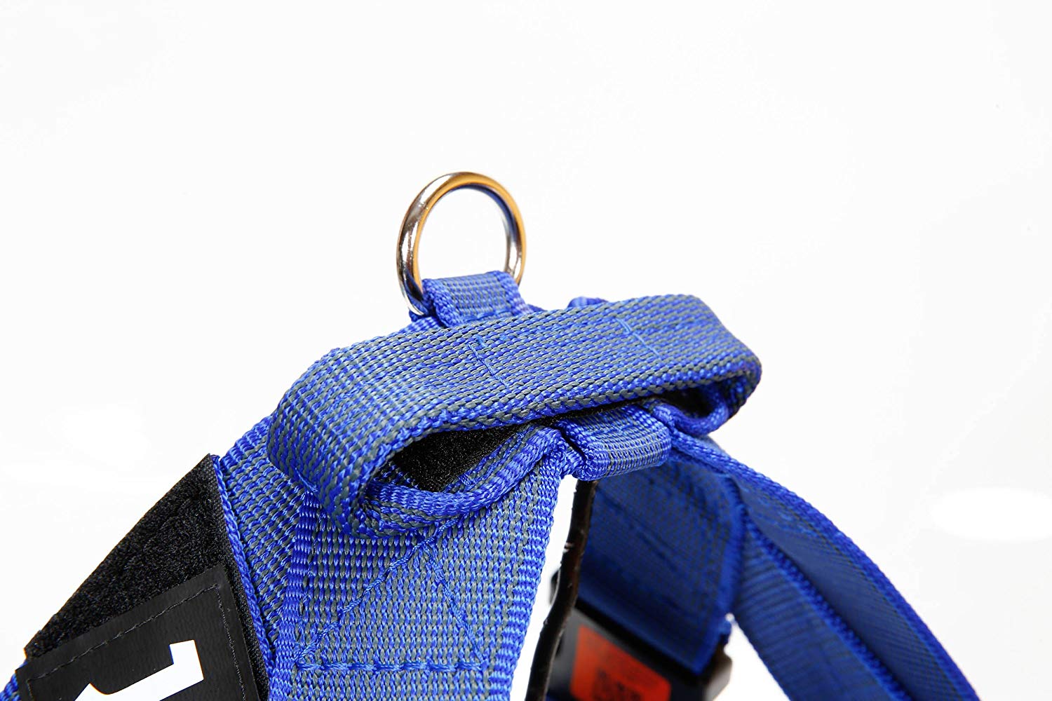 Julius-K9, IDC Color & Gray Belt Harness, Size: XL / 2, Blue-Gray, XL / Größe 2 - Image 4