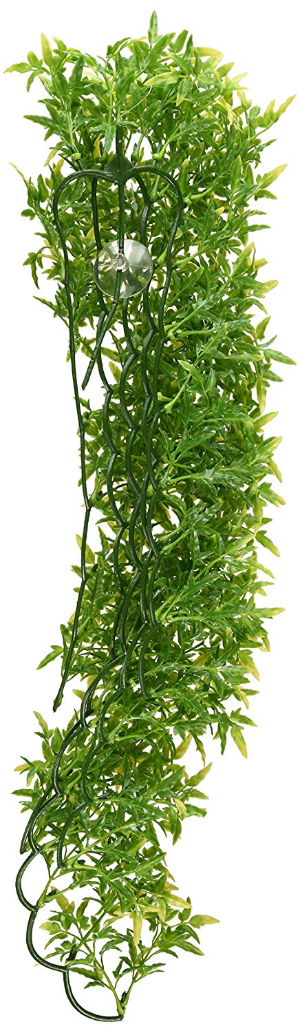 Zoo Med BU-35 Bolivian Croton, Large, Black - Image 2