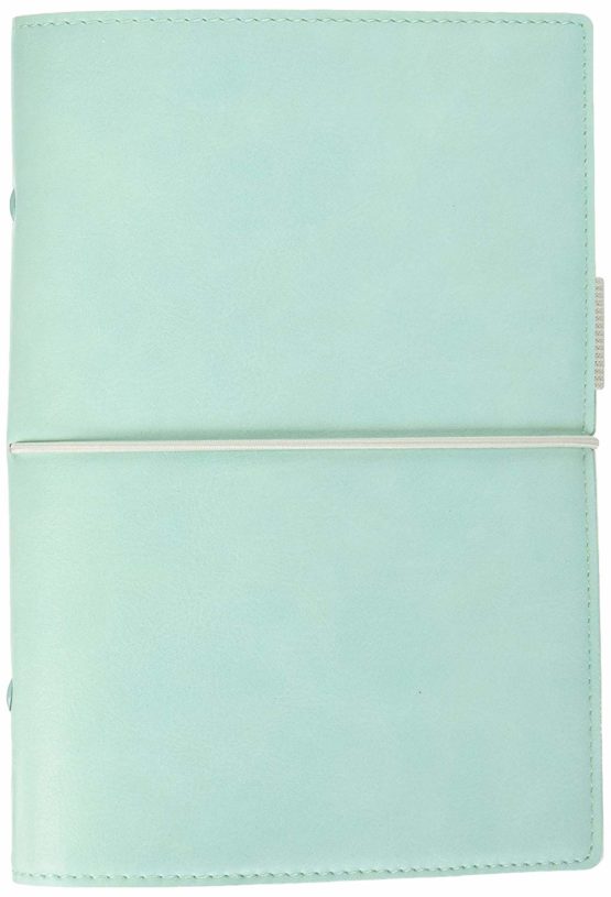 Filofax Domino Soft Duck Egg Personal Organiser
