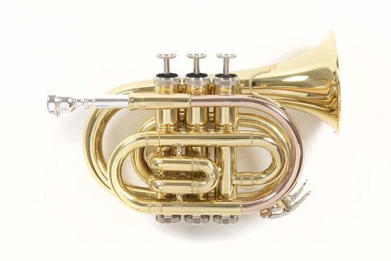 Roy Benson Bb Taschen-Trompete MOD-101 lackiert, inkl. Etui