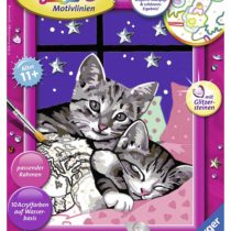 Ravensburger 279951 "Sleeping Cats Painting By Numbers Set
