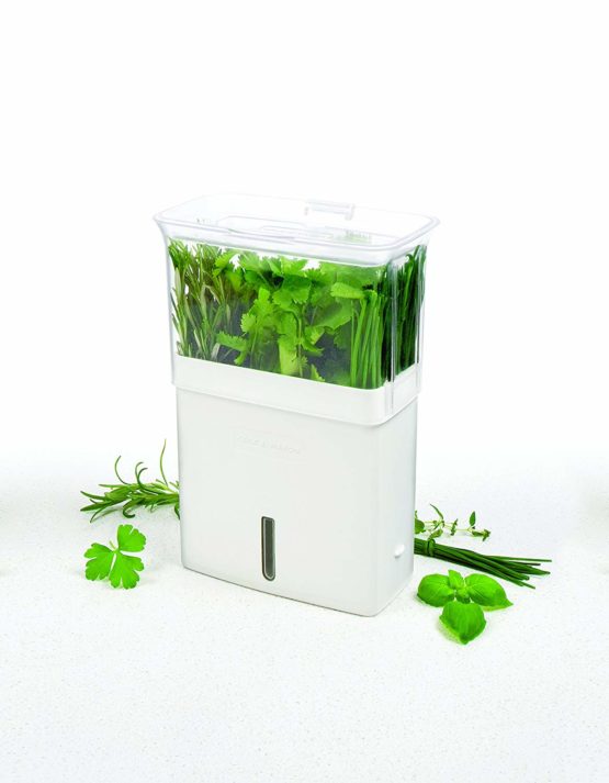 Cole & Mason H105159 Tealby Fresh Cut Herb Keeper | Herb Pot/Herb Storage/Herb Saver/Herb Box | Acrylic | (H) 230mm x (W) 185mm x (D) 120mm | Includes Removable Dividers | 2 Year Guarantee - Image 4