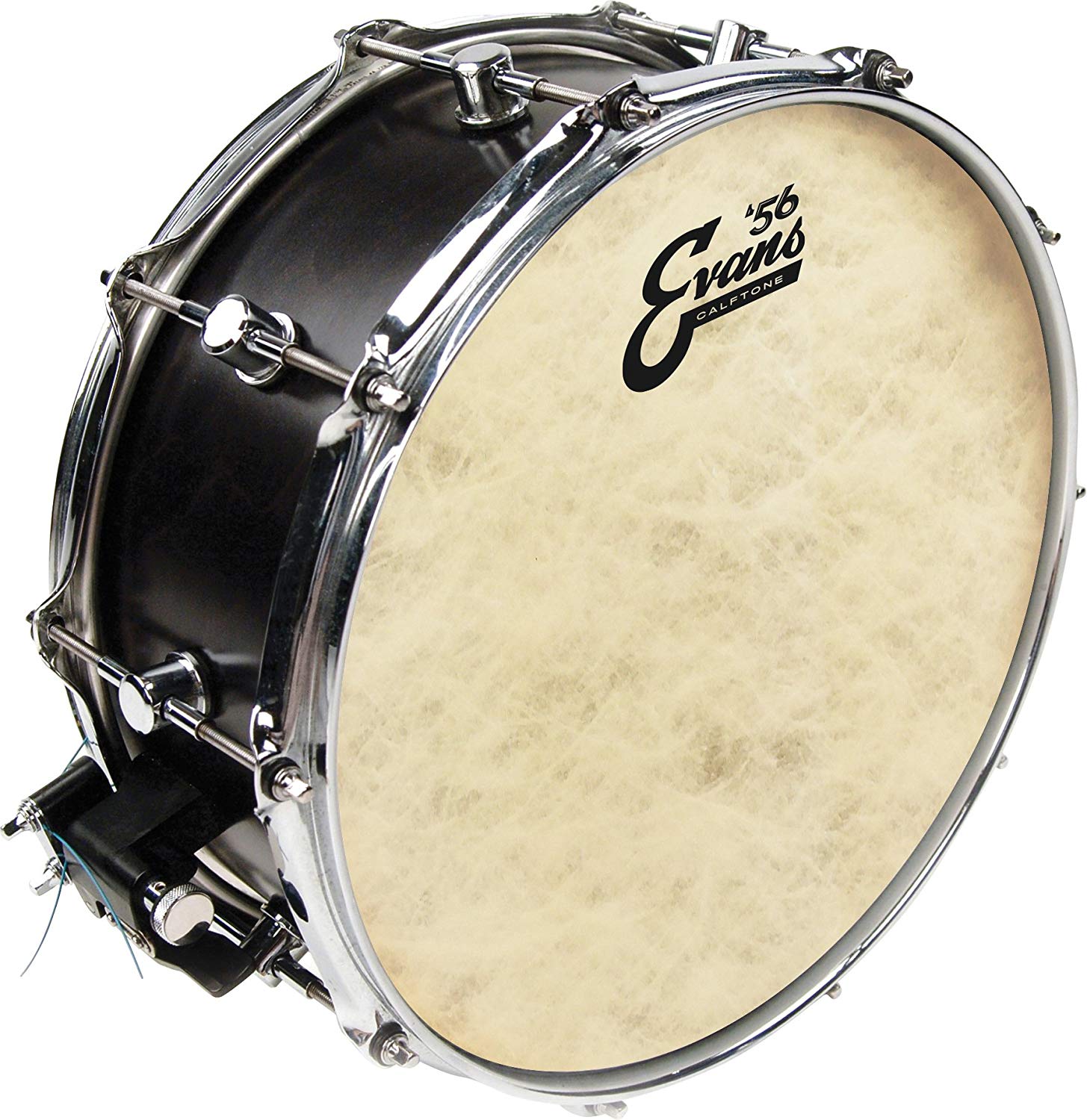 Evans Drum Heads - Calftone Tom Drumhead, 14 Inch, 14"