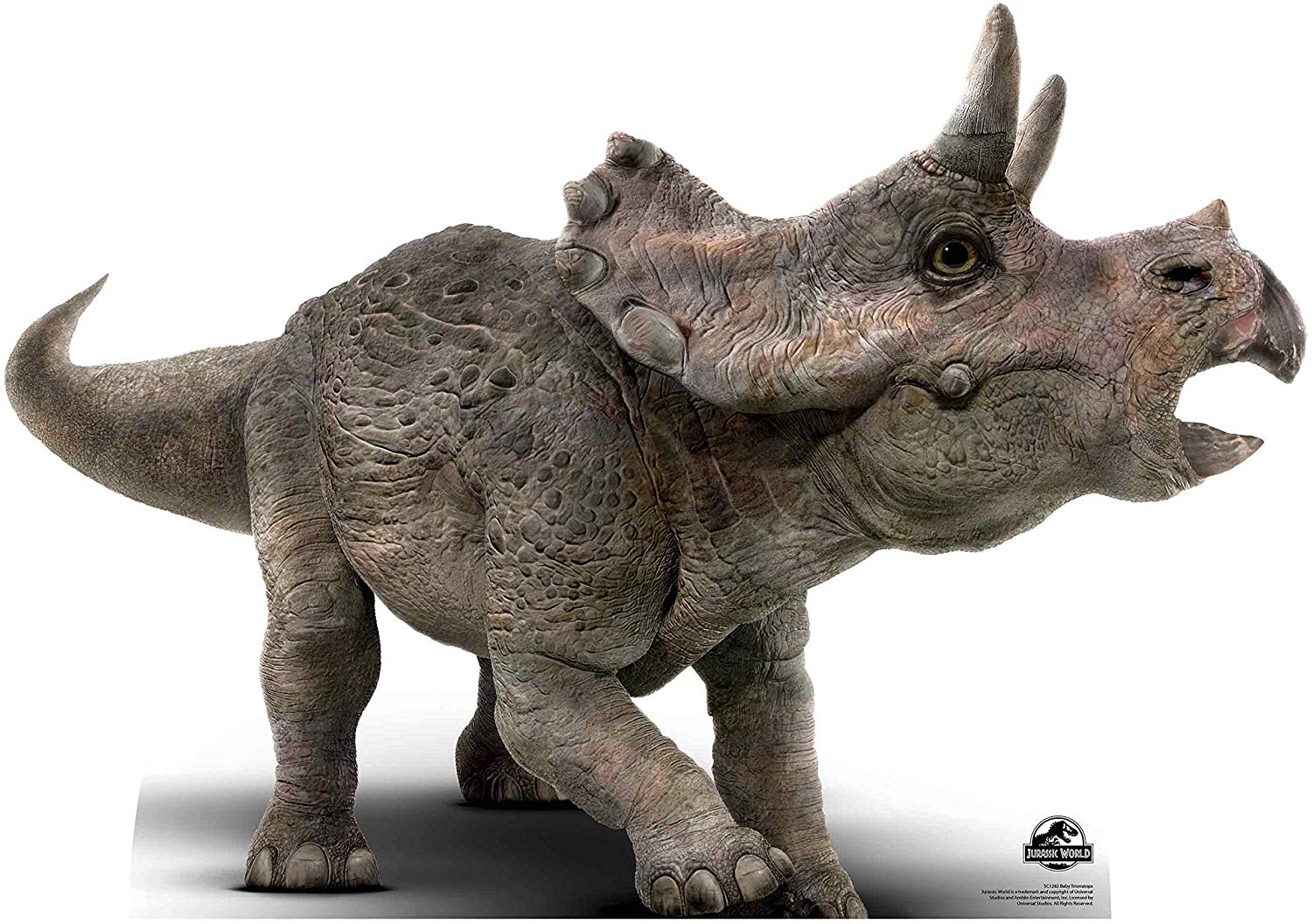 Star Cutouts SC1282 Baby Triceratops Dinosaur Cardboard Cutout - Ideal for Jurassic Park Parties Birthdays, Fans & Events