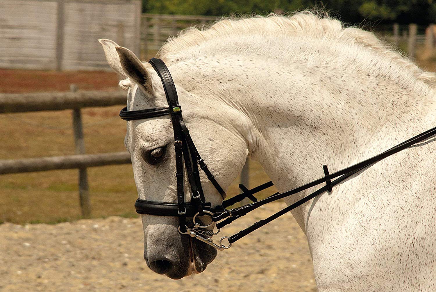 Rhinegold Double Comfort Bridle - X Full - Black, Extra Full