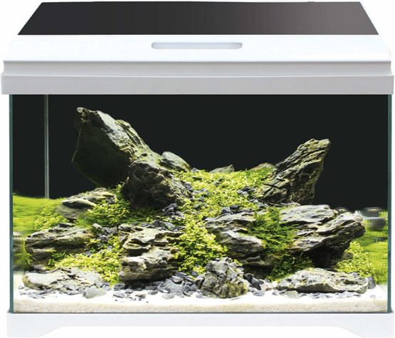 Amtra Modern Tank 40 LED