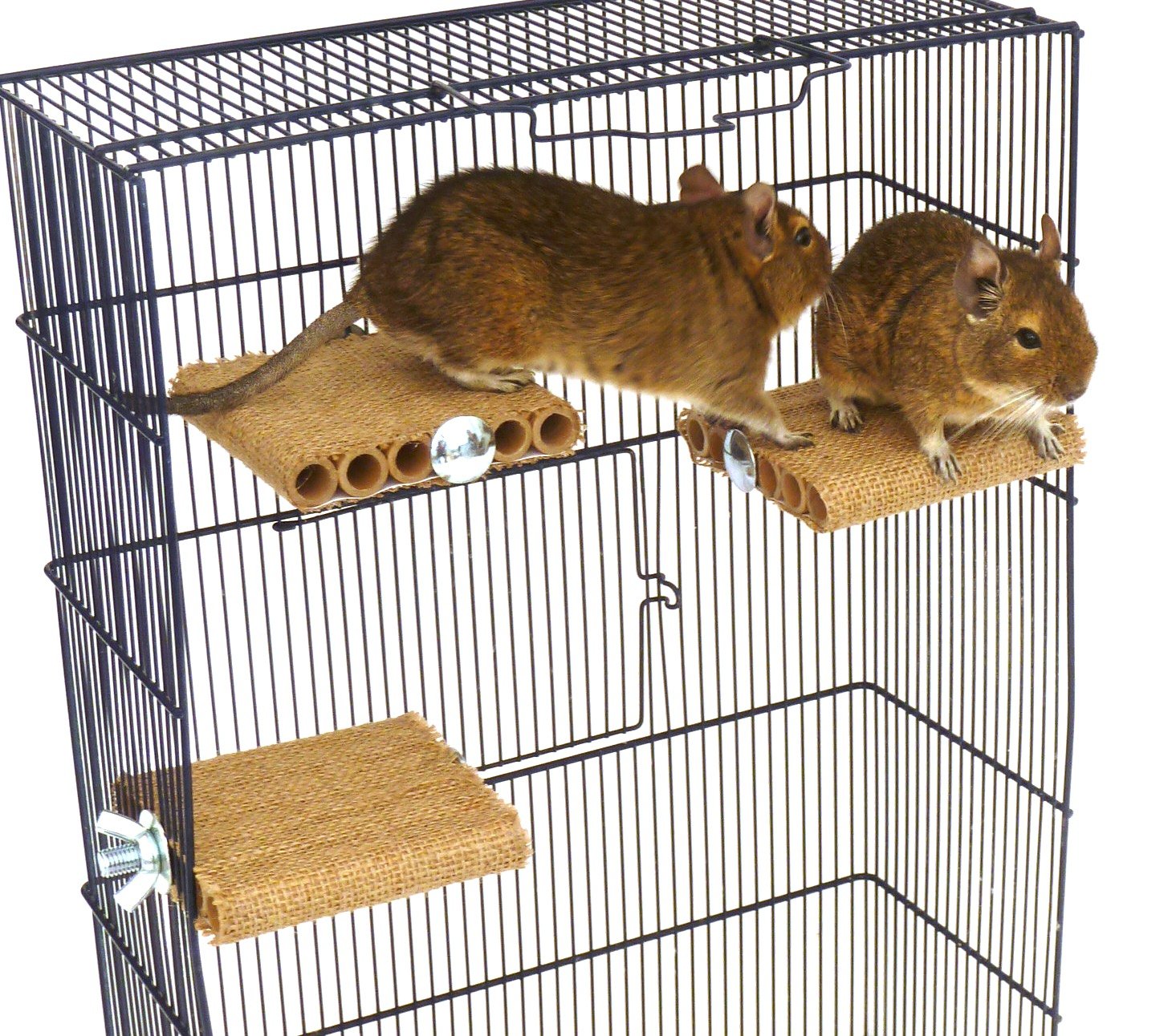 Totally Degu Shelf Refill for Small Pet Cages, Single Pack Replacement Platform for Degu Rat, Gerbil, and Hamster - Image 3