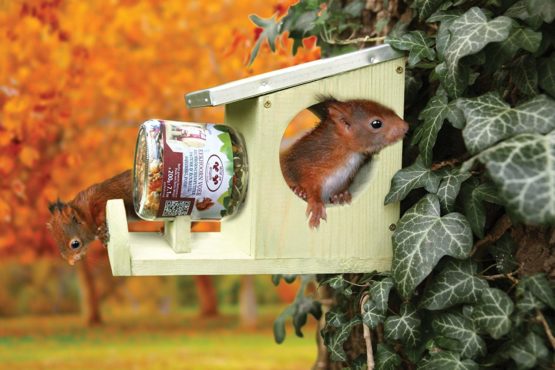 Fallen Fruits WA28 Squirrel Peanut Butter Feeder - Image 2