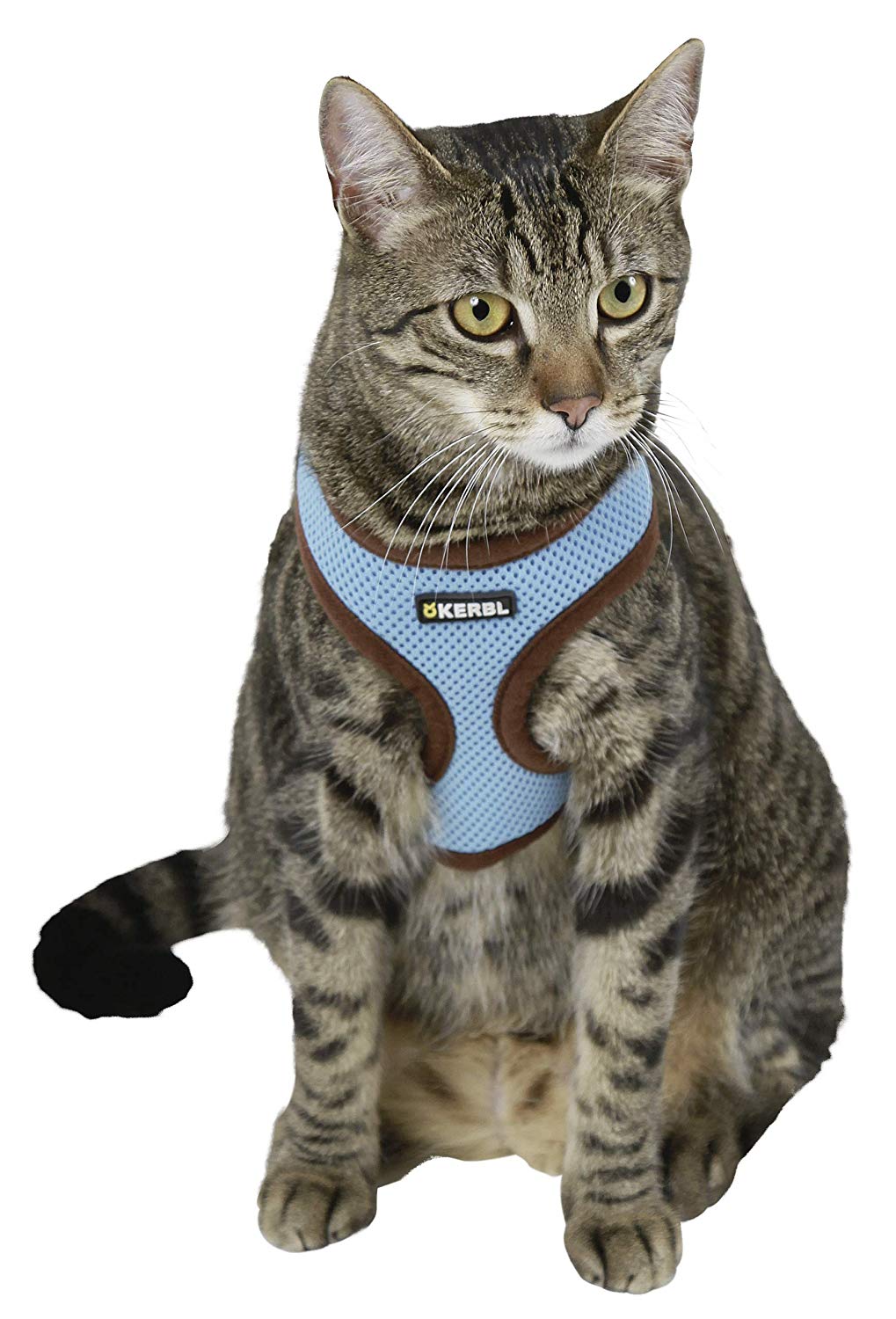 Cat Harness Activ, Blue, Small - Image 2