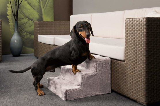 Easy Step dog stairs in grey - Removable cover - L43 cm - W41 cm - H29 cm - Image 2