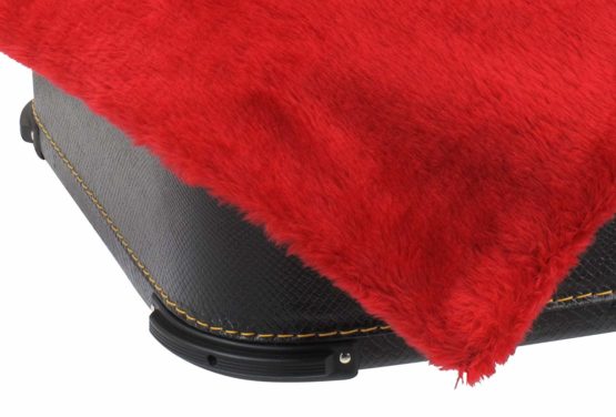 Alpenklang 48 Bass Accordion Case Deluxe - Image 3