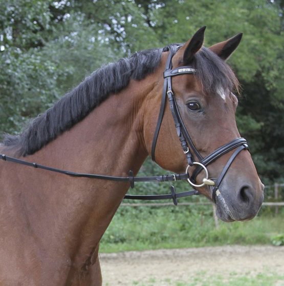 Kerbl Draw Reins - Image 3