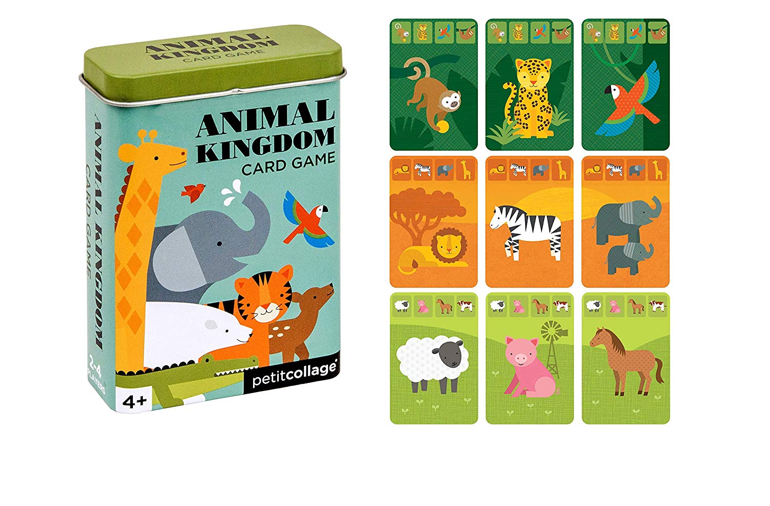 Animal Kingdom, Multicoloured, S