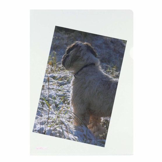 Herlitz A4 Cut Flush Folder - Clear (100 Pieces) - Image 3