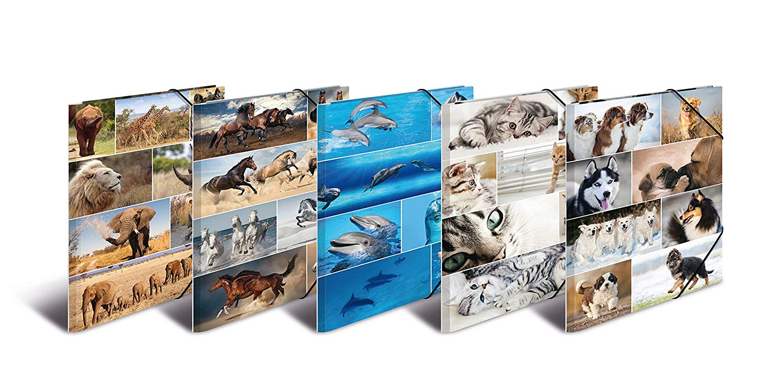 HERMA Elastic Folder Animals, Assorted Colourful Designs, A3, Sturdy Cardboard, with Inner Print, Pack of 10