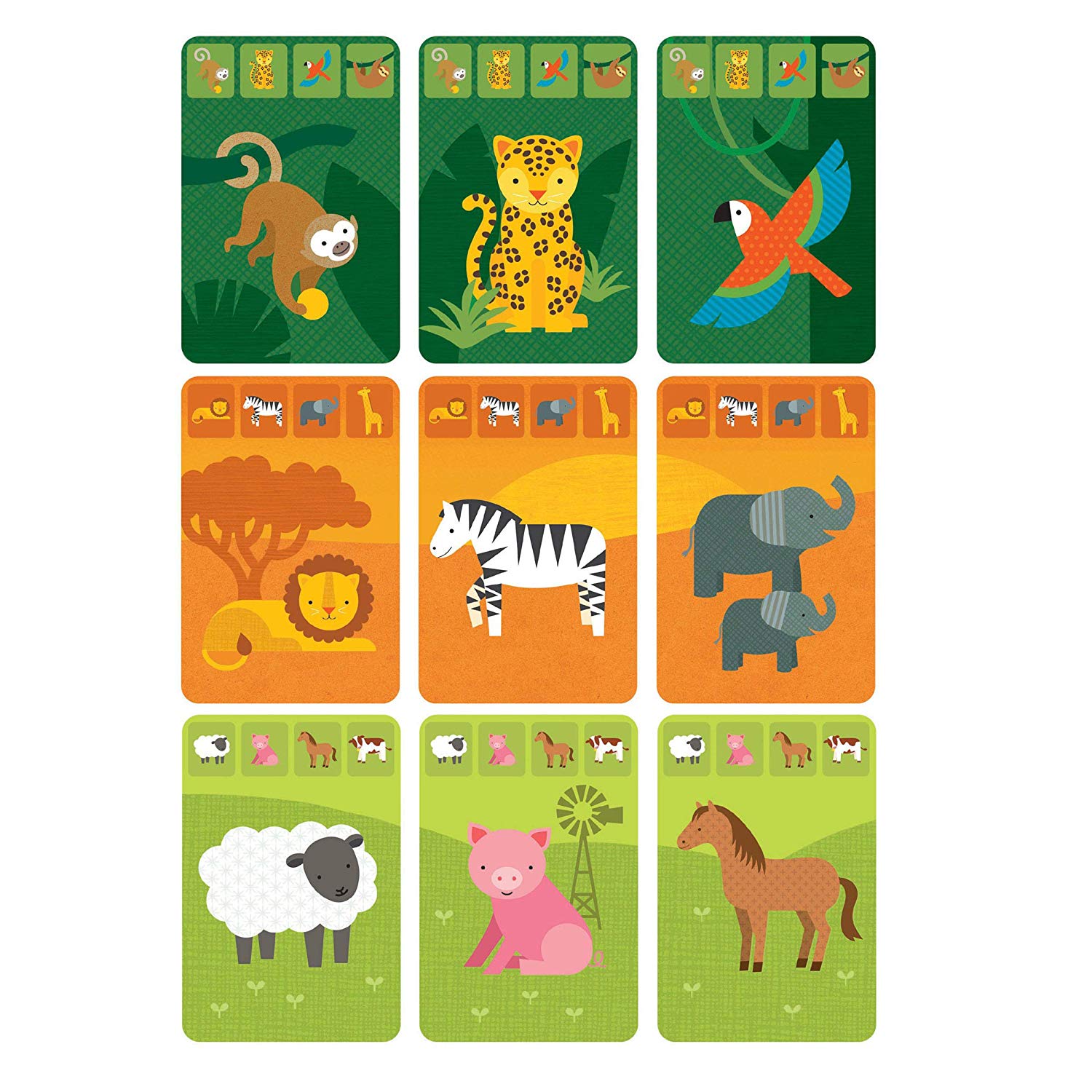 Animal Kingdom, Multicoloured, S - Image 4