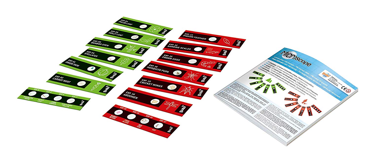 BUKI France MR001 - Microscope Slides, Red - Image 3