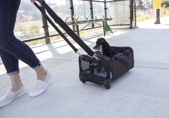 Sherpa Ultimate on Wheels Travel Bag, Large, Black,Q98792 - Image 3