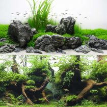 Wave Double Background Amazonia Blister, 45 X 100 cm