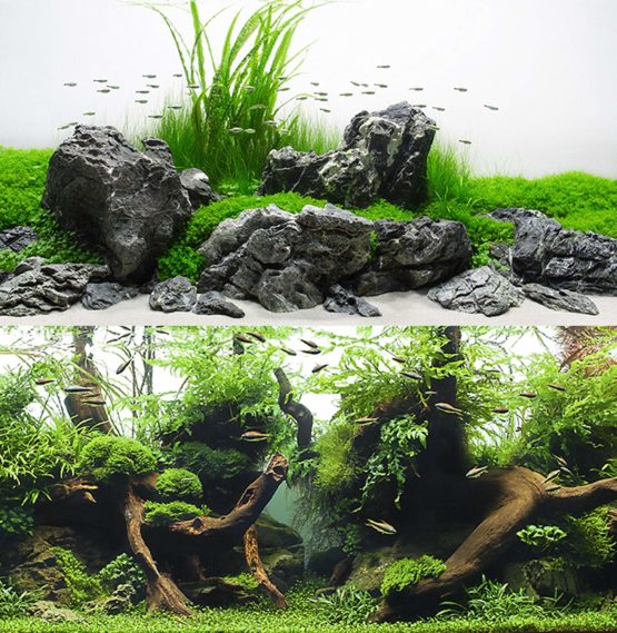 Wave Double Background Amazonia Blister, 45 X 100 cm