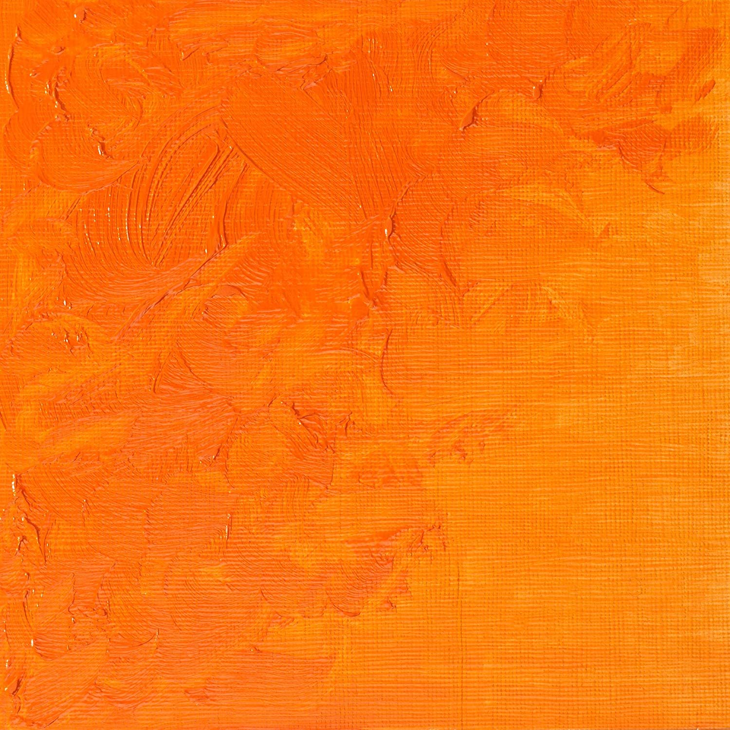 Winsor & Newton Winton Oil Colour Tube, 37 ml - Cadmium Orange Hue,1414090, 37 ml (Pack of 1) - Image 2