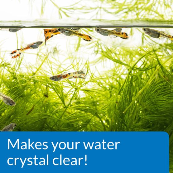 API ACCU-CLEAR Freshwater Aquarium Water Clarifier 118 ml Bottle - Image 4