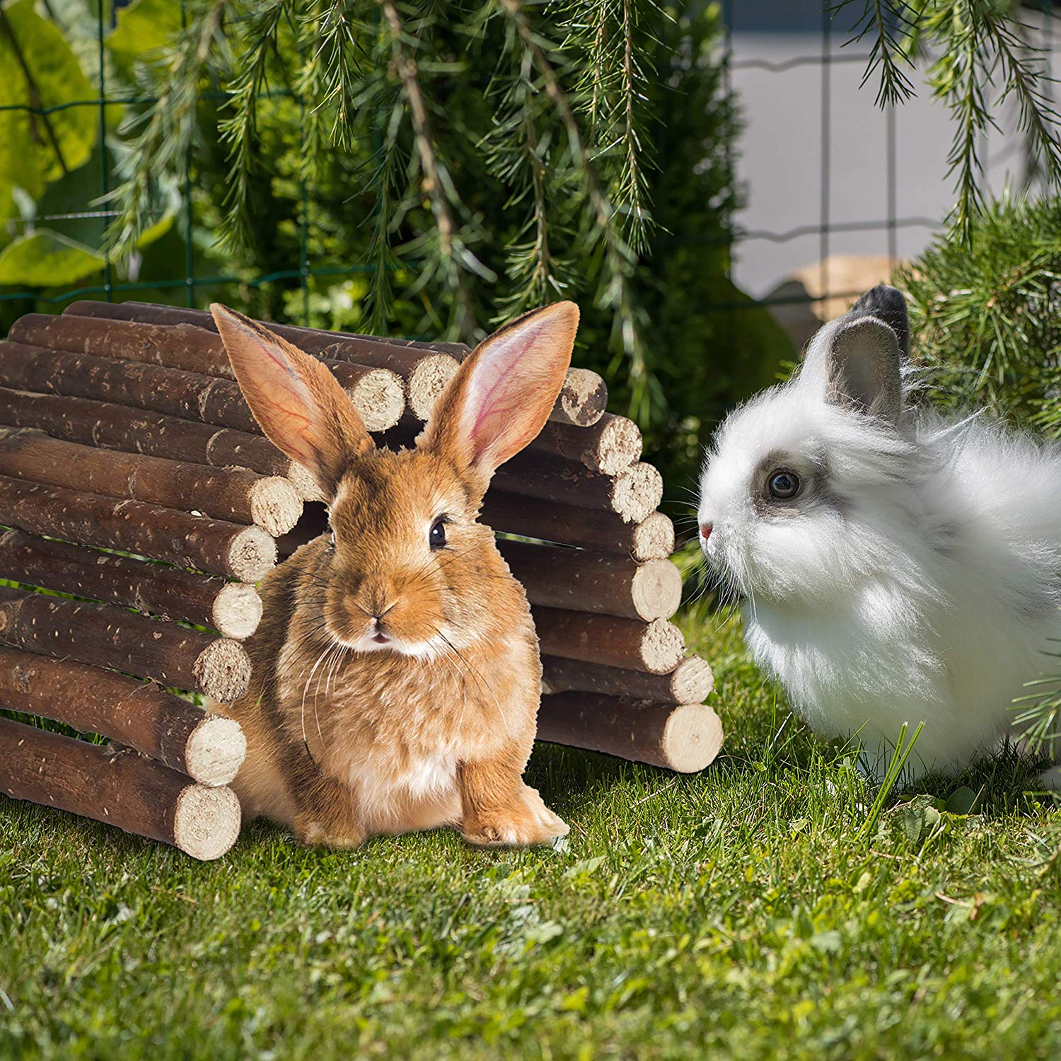 Relaxdays Natural Wooden Small Animal Rodent Tunnel Tube, Flexible, Schima, HWD 2x29x17 cm, Wood, 2 x 29 x 17 cm - Image 2