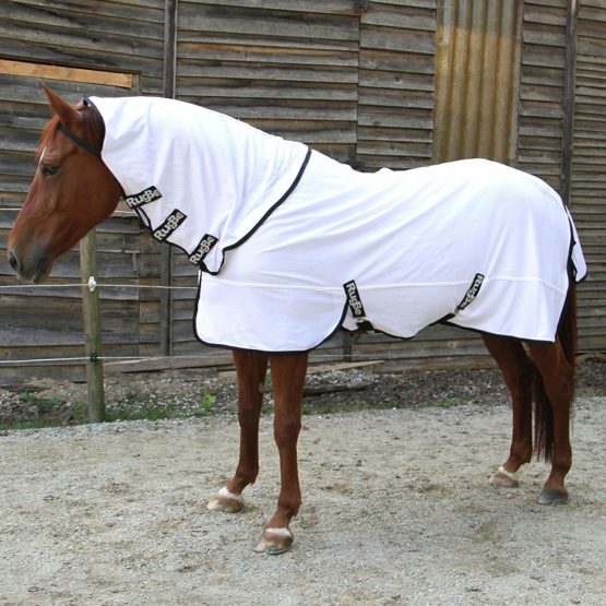 Kerbl SuperFly 328693 Fly Blanket with Neck Piece - Image 3
