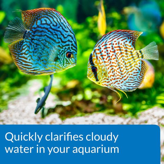 API ACCU-CLEAR Freshwater Aquarium Water Clarifier 118 ml Bottle - Image 3