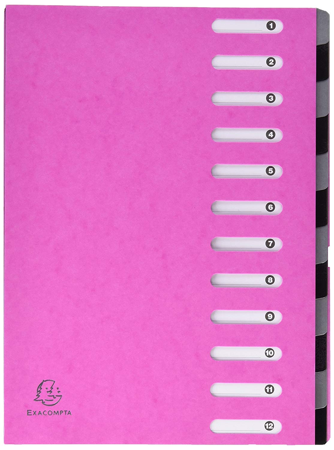 Exacompta, Ref 53929E, Iderama Collection, Harmonika Multipart File, 245 x 320mm in Size, Suitable for A4 Documents