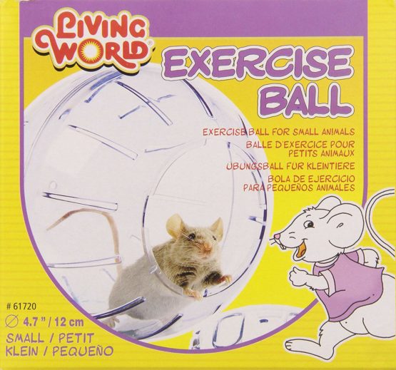 Living World Exercise Ball, Small, 12 cm - Image 2