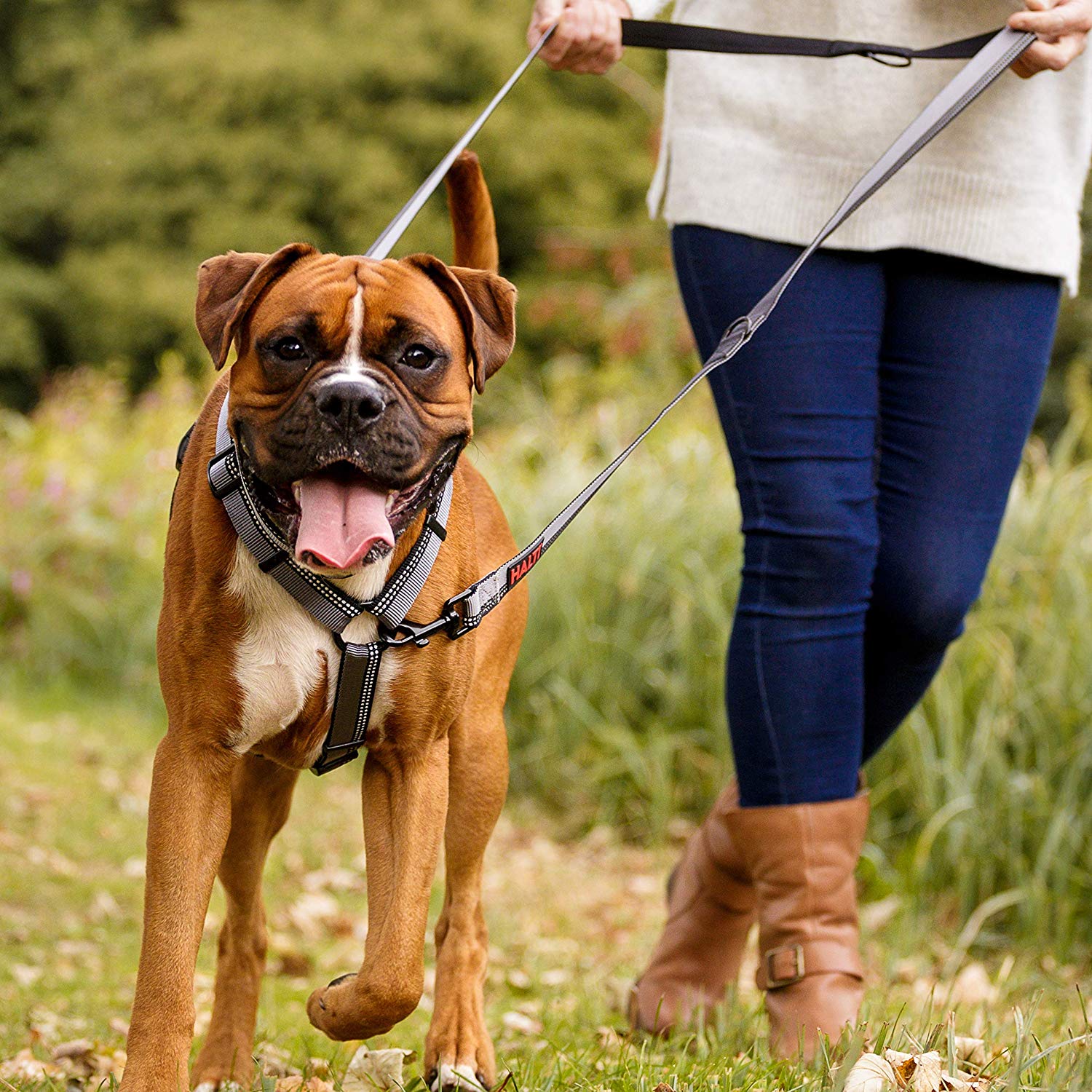 HALTI Double-Ended Lead for Dogs Size Large, Purple, 2m, Best Premium Puppy & Dog Leash, Neoprene-Padded, Easy to Use - Image 4