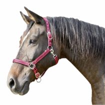 Kerbl Mustang Head Collar